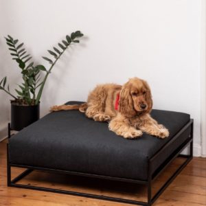 Лежак для собак с подушкой — Для животных