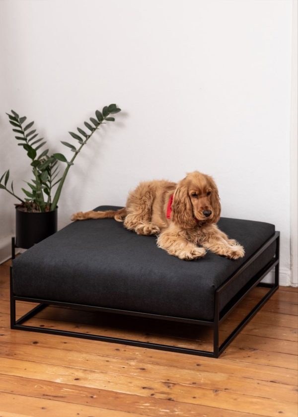 Лежак для собак с подушкой — Для животных